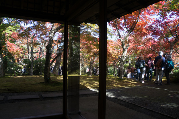 箱根美術館_茶室「真和亭」から見た庭園