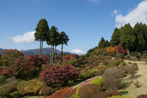 「山のホテル」は庭園がすばらしいのです。