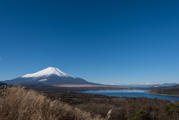 富士山【山中湖からの眺め】1