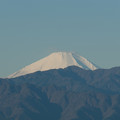富士山【川和富士公園からの眺め】3