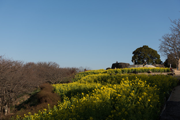 吾妻山公園【公園の展望台】
