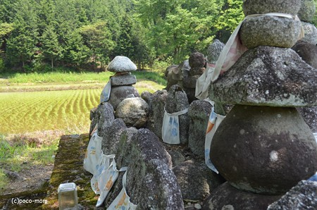長浜 大聖寺不動堂 DSC_0075