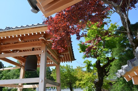 湖北 神護山醍醐寺 鐘楼 DSC_0116