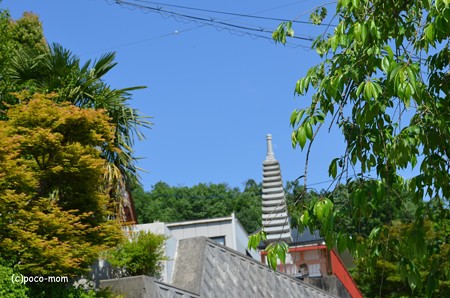 DSC_0119