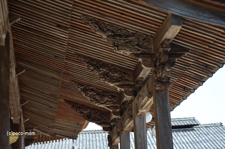 長浜市野瀬 光福寺 DSC_0125