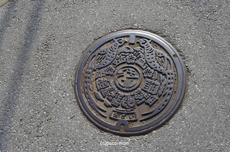 長浜市野瀬 光福寺 DSC_0190