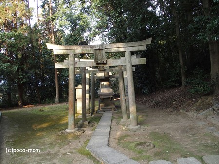 東福寺鎮守 五社大明神 P1110243