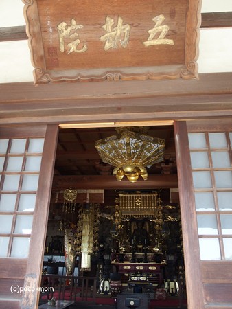 持光寺五劫院 五劫思惟菩薩 P4110025P4110028
