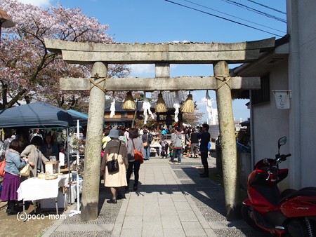 尾道 宝土寺 観音堂 如意輪観音 P4110045