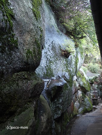 尾道 千光寺
