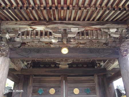 滋賀湖北、米原市 蓮華寺 P6190006
