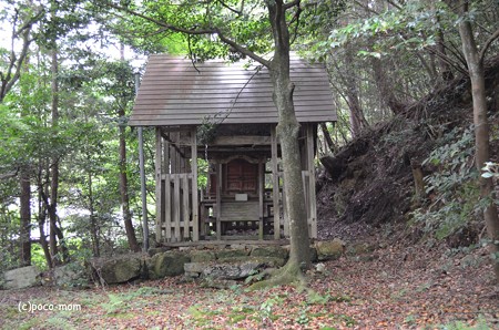 米原市 蓮華寺 鎮守 山王日吉神社DSC_0025