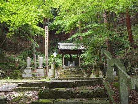 米原市 湖北 蓮華寺 一向上人御廟 P6190030