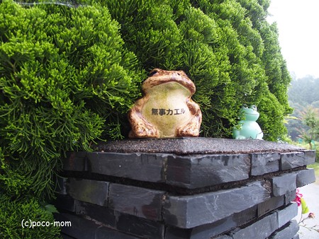 米原 観音の里 日光寺 P6190145