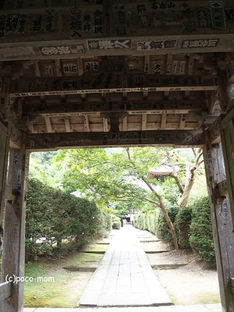 安楽寺 P8150088