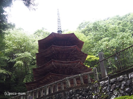安楽寺 八角三重塔 P8150051