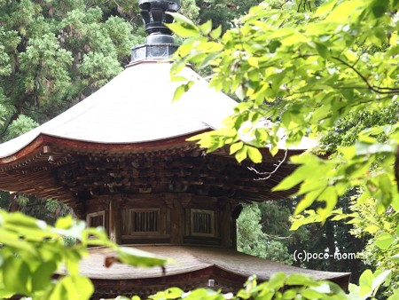 安楽寺 八角三重塔 P8150063