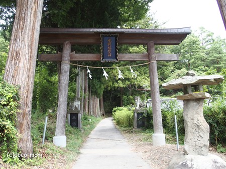 常楽寺 P8150132