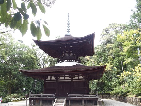 石山寺多宝塔 P8270354