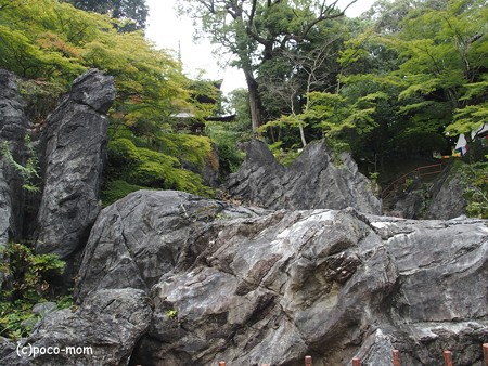 石山寺 硅灰石 P8270311
