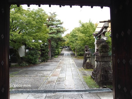 養源院 P8280611P8280611