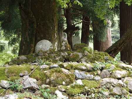 P9250106
