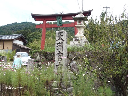 余呉町坂口 菅山寺里坊弘善館 P9250202