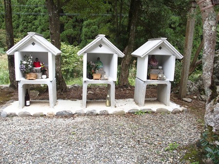 木之本町 医王寺 境内 P9250248