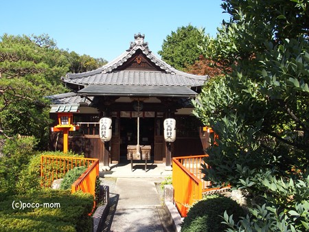 戒光寺 PA160556