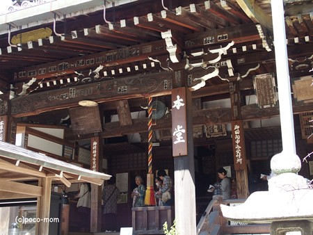 今熊野観音寺 泉涌寺塔頭 PA160600
