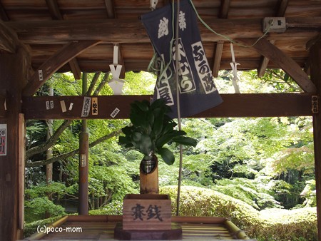 今熊野観音寺 泉涌寺塔頭 PA160642