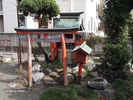 滋賀長浜 知善院 PA300027