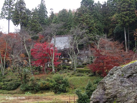 石道寺 遠景 PB270559