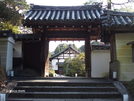 雲龍院 泉涌寺塔頭 PC110840