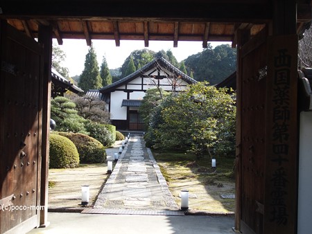 雲龍院 泉涌寺塔頭 PC110841