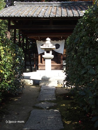 雲龍院 泉涌寺塔頭 PC110843