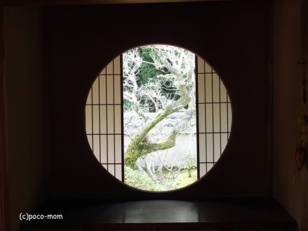 雲龍院 泉涌寺塔頭 PC110859