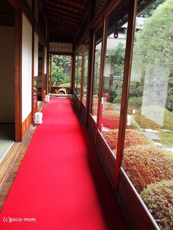 雲龍院 泉涌寺塔頭 PC110862