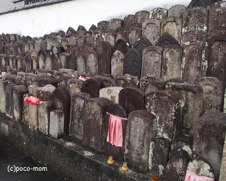 興善寺 P1221027