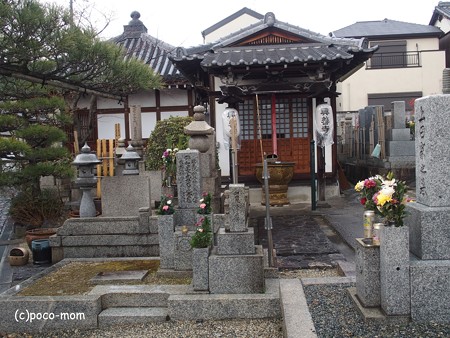 興善寺 P1221030