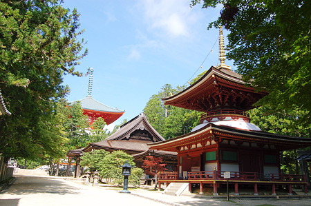 2010年08月15日高野山壇上伽藍 東塔