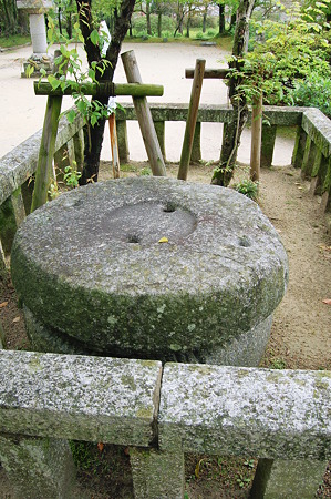 2011年05月01日_DSC_0304