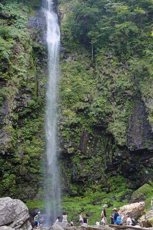 DSCF8764