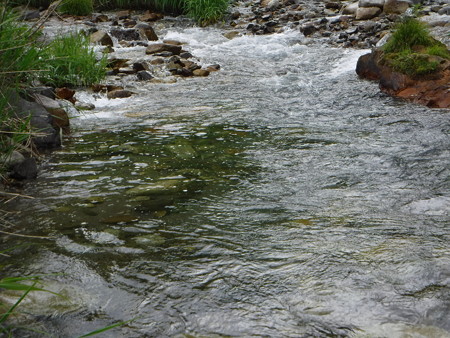 DSCF0553
