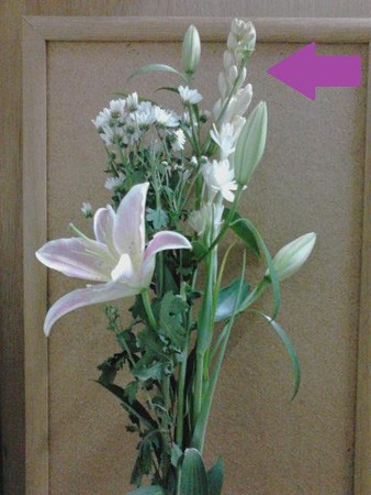 花束?