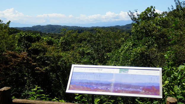 パノラマ台（晴れてれば富士山から箱根の山々が見えるらしい）