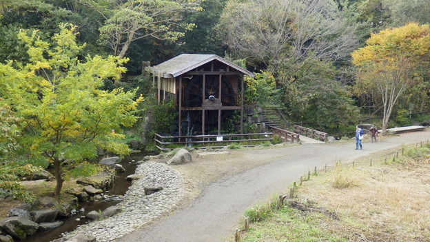 情緒が漂います＾＾