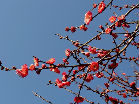 こども自然公園