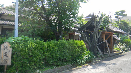 日出