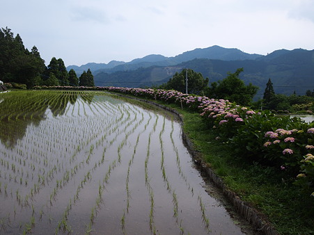 北郷 椎野
